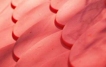 Rimpton plastic roof costs